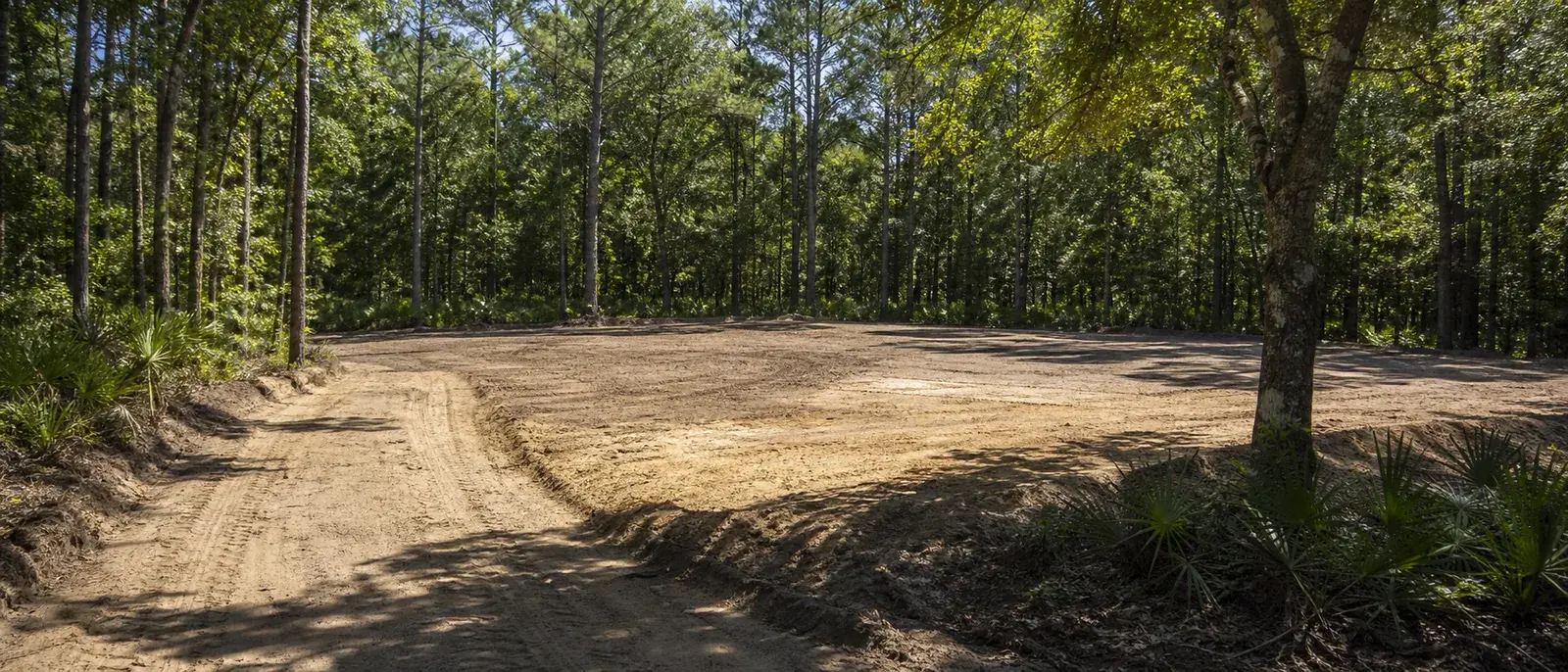 Cleared and graded sandy homesite or barn pad on wooded acreage near Fort White, Florida.