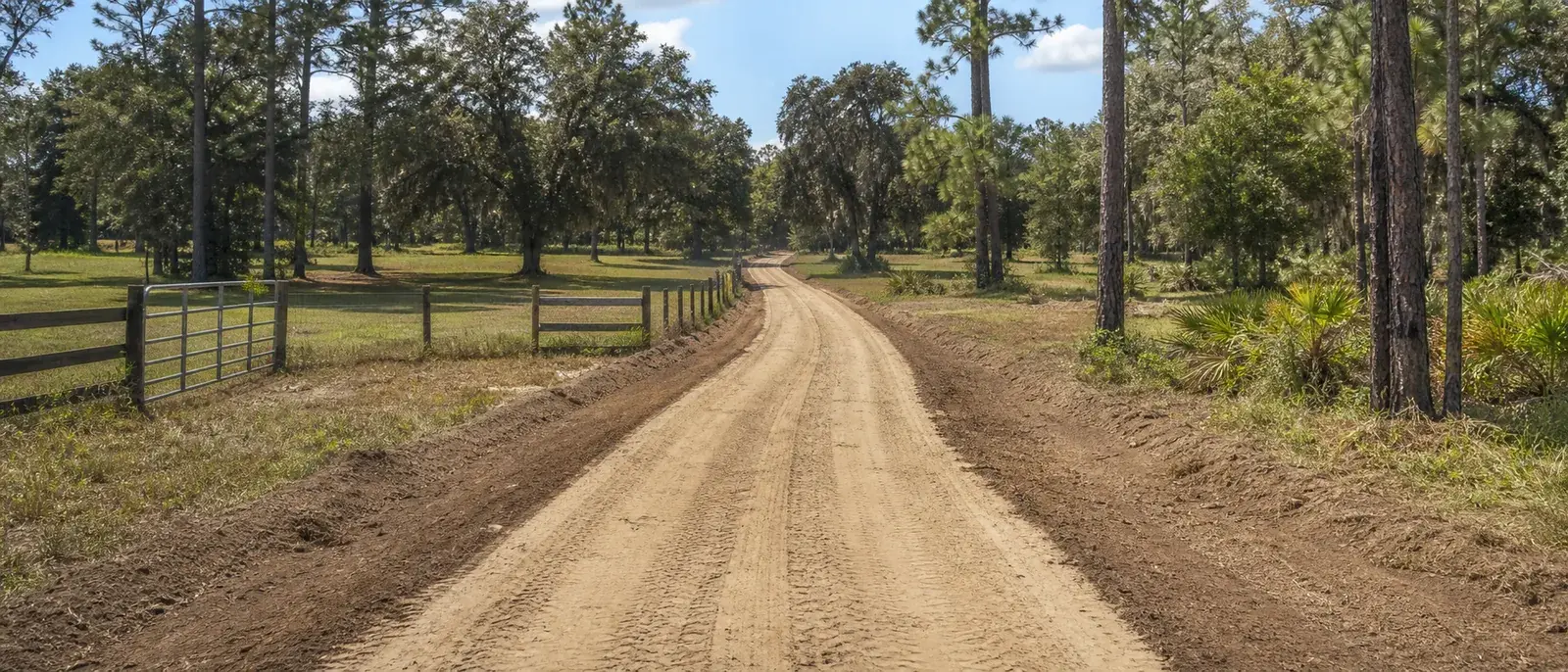 Freshly shaped sandy driveway access through rural acreage near Lake City, Florida.