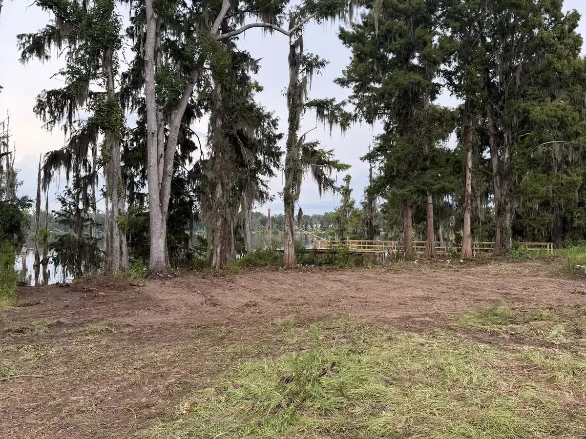 Opened ground with tall trees retained along the edge of the work area.