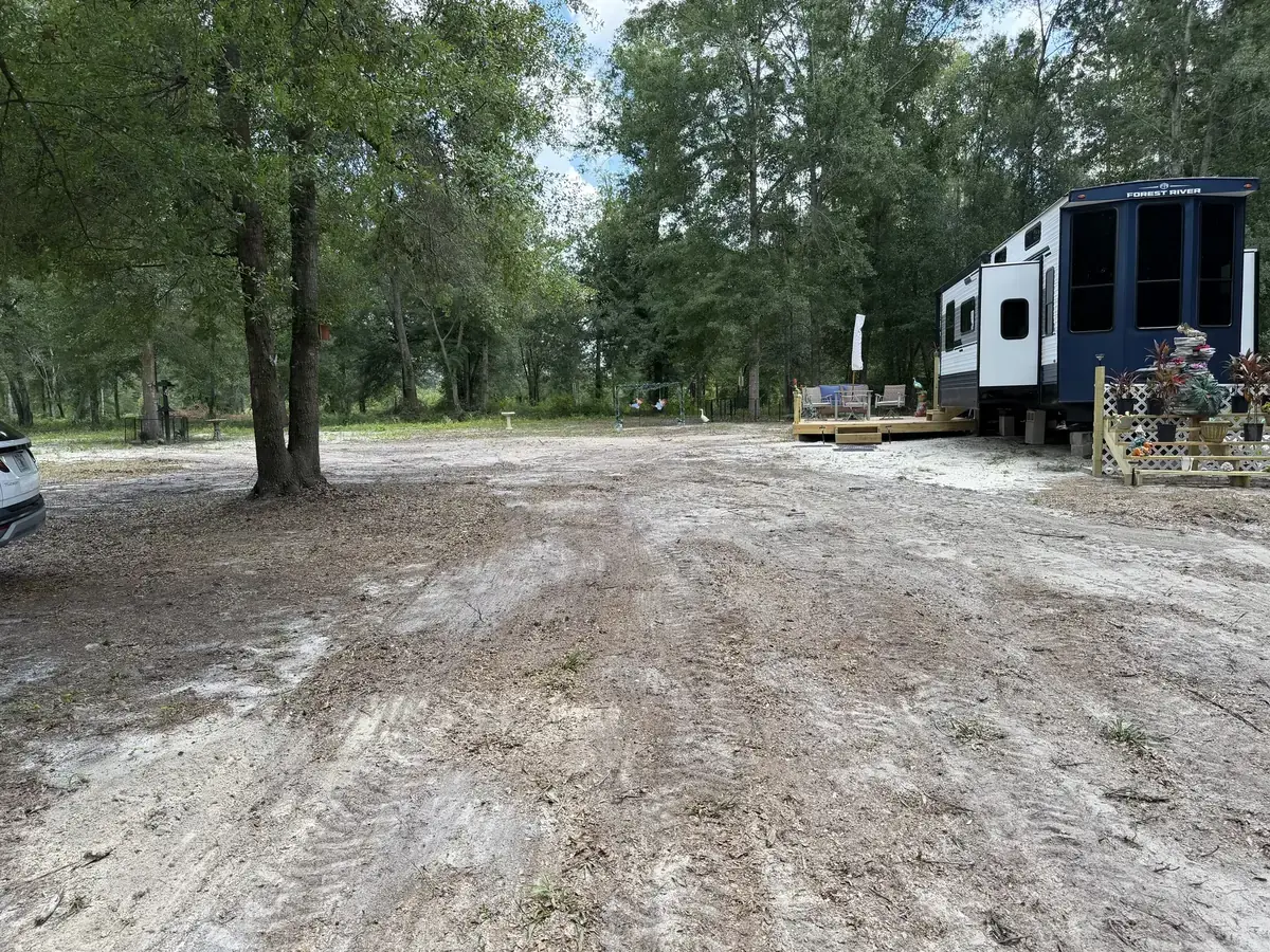 Worked sandy ground around retained trees beside a travel trailer.