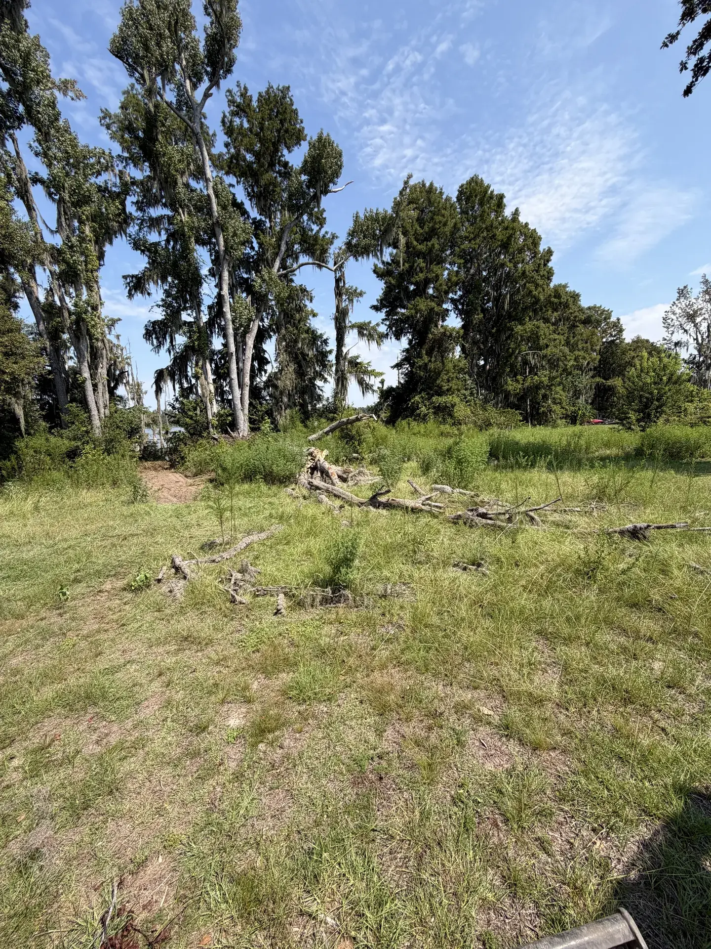 Brush and fallen limbs across a grassy work area among tall trees.