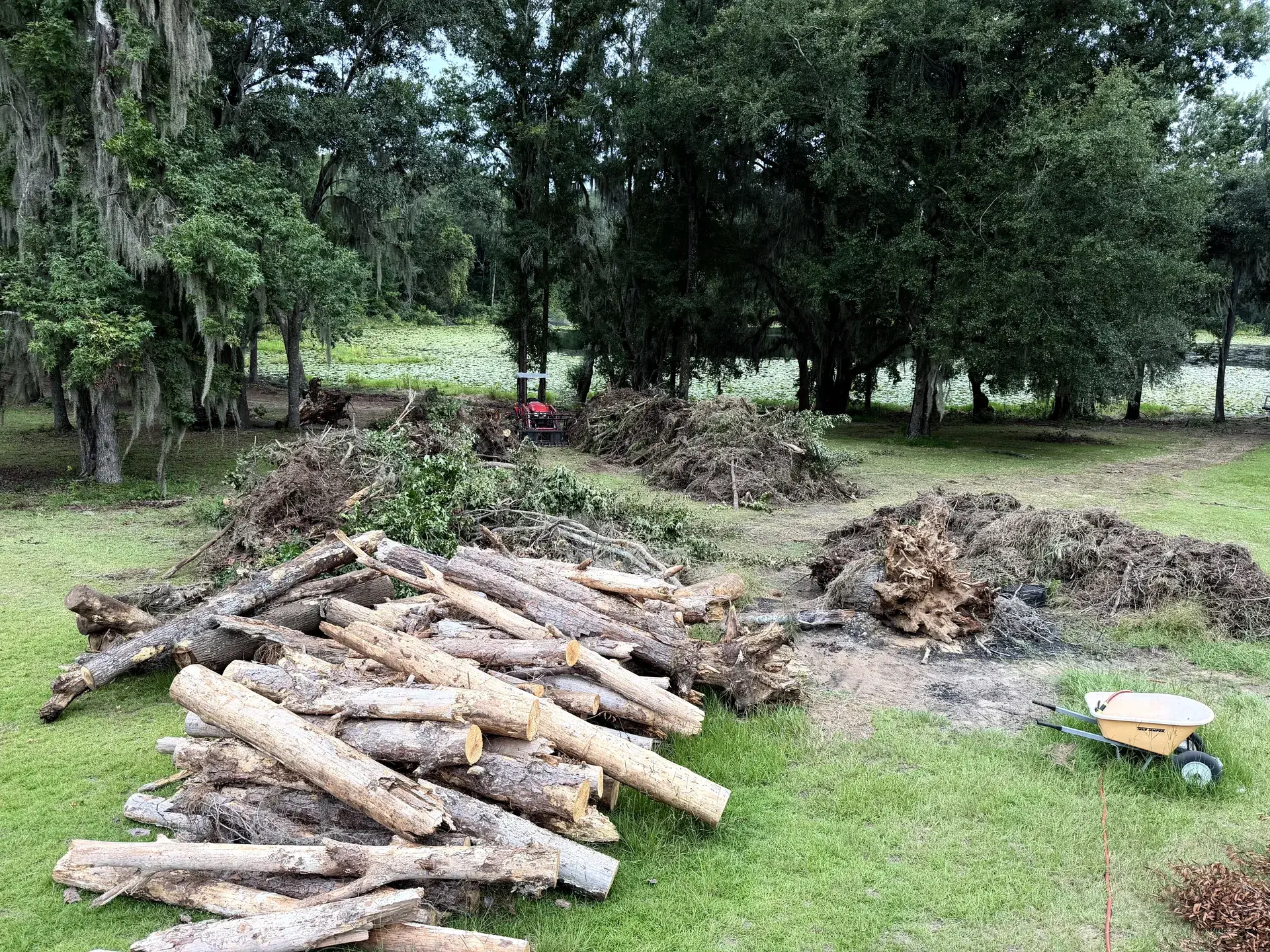 Cut logs, roots and brush staged in separate piles on a wooded property.