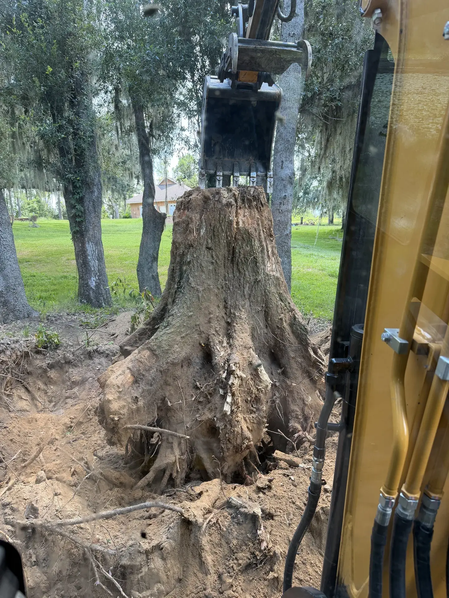 Excavator bucket at a large stump with exposed roots and disturbed soil.